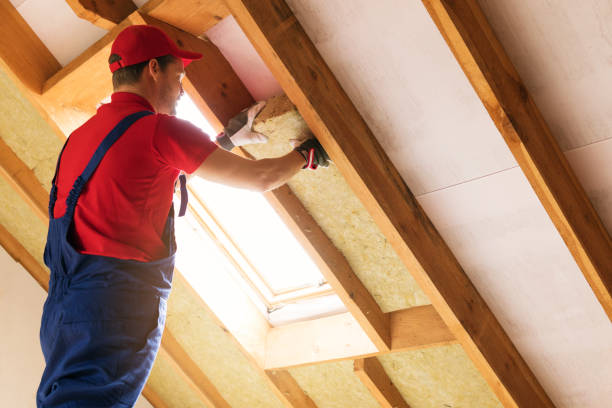 Types of Insulation We Offer in Palmview, TX